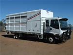 Horse crate